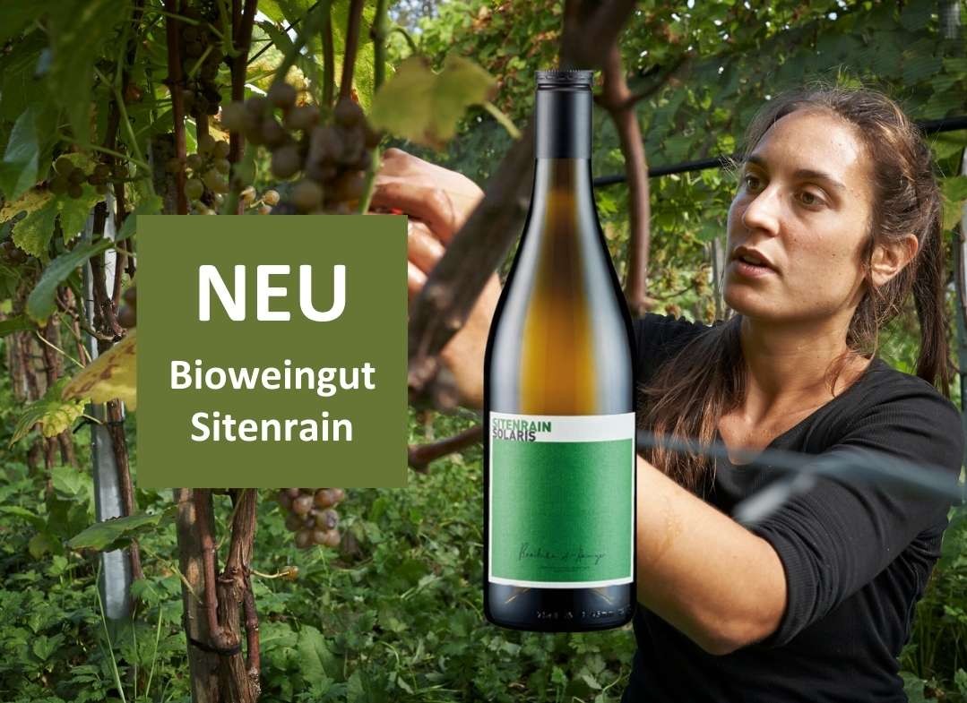 Neu im sortiment Weine vom Luzerner Bioweingut Sitenrain Meggen